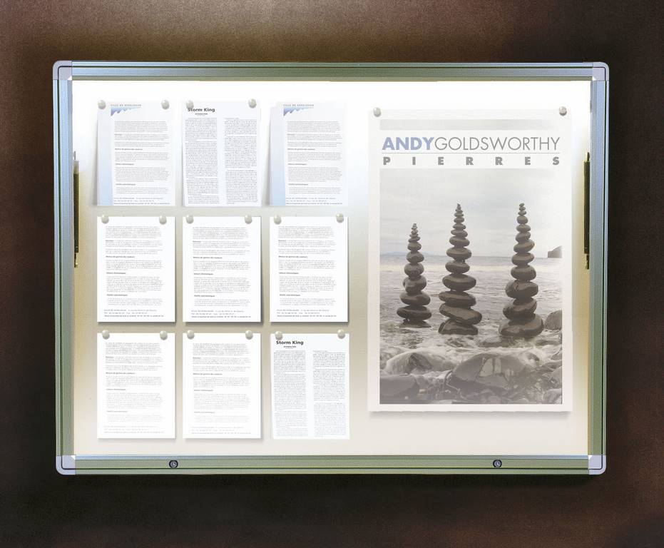 outdoor display case 1000 2x30A4